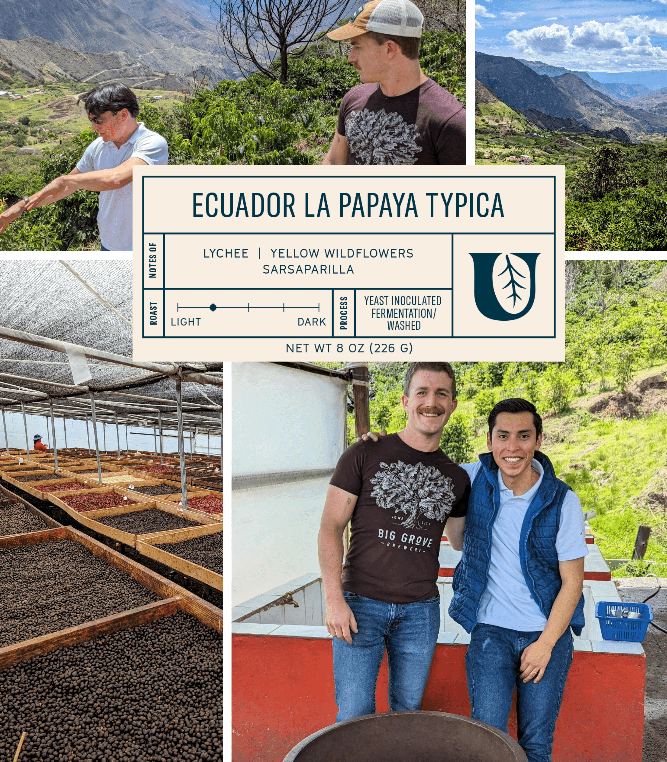 Ecuador La Papaya Typica - Utopian Coffee