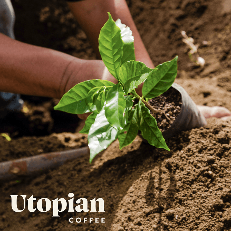 ROC Card Utopian Coffee