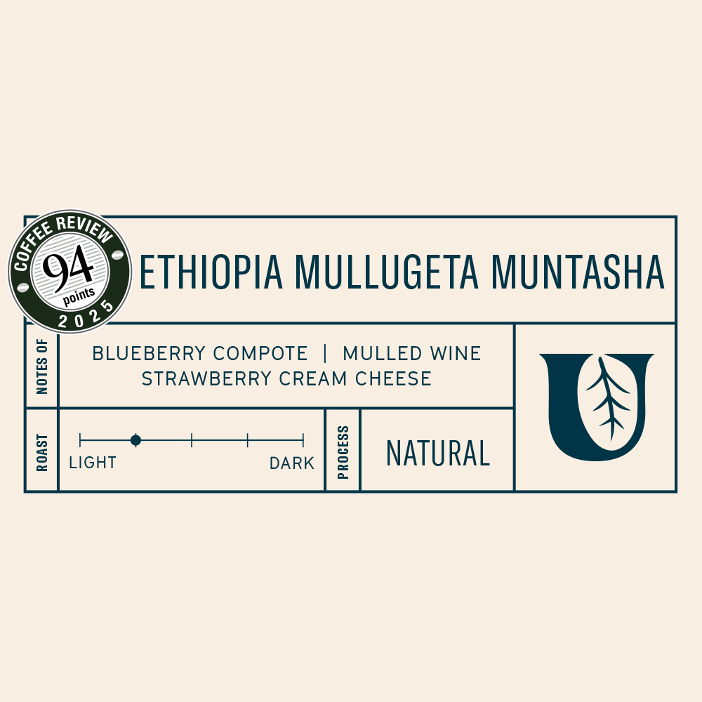 
                  
                    Ethiopia Mullugeta Muntasha
                  
                
