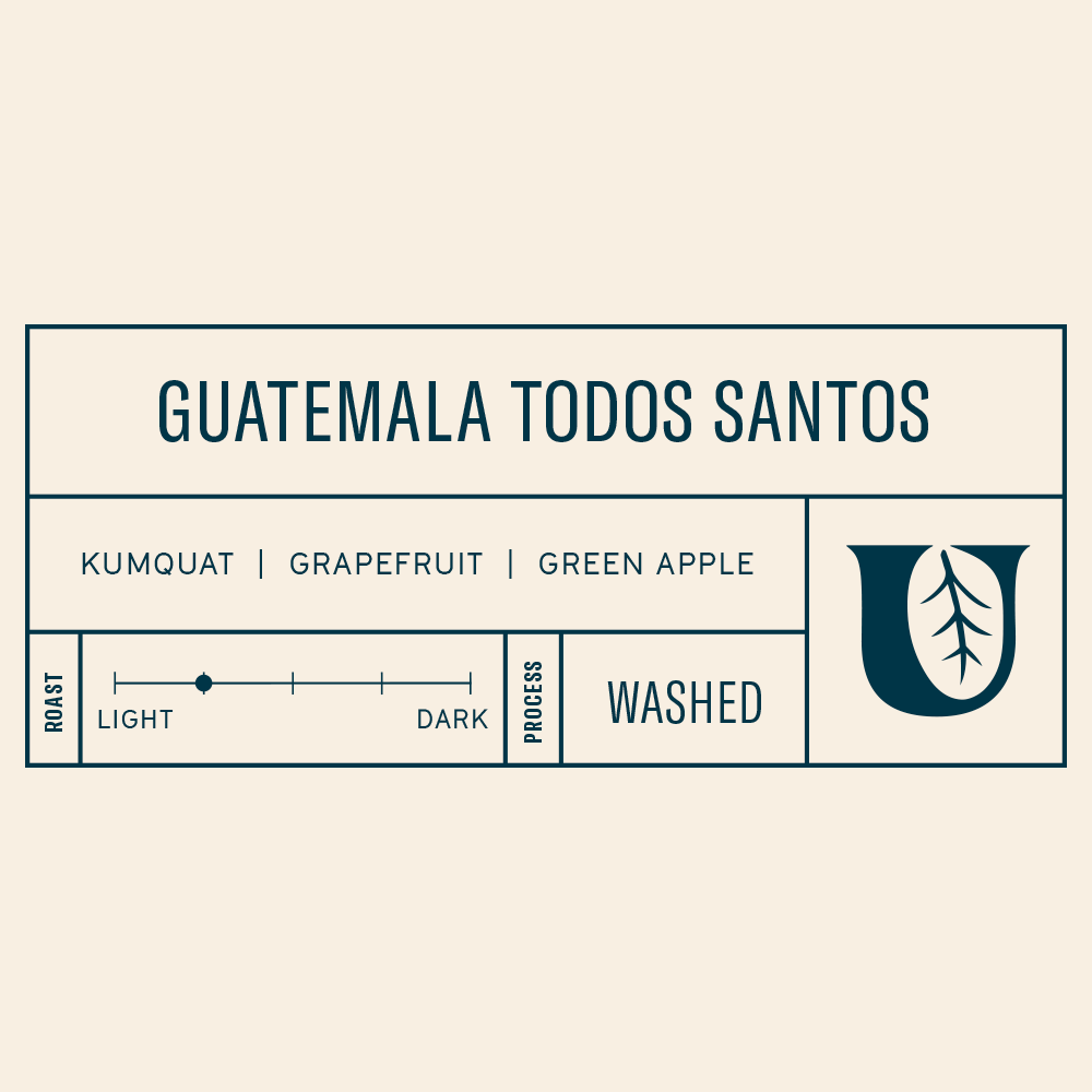 
                  
                    Guatemala Todos Santos
                  
                