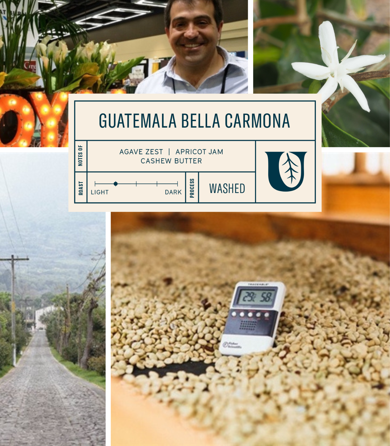 
                  
                    Guatemala Bella Carmona
                  
                