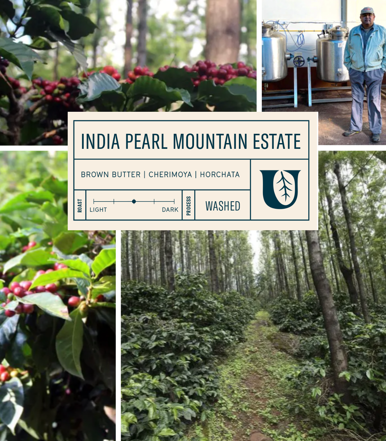
                  
                    India Pearl Mountain Estate
                  
                