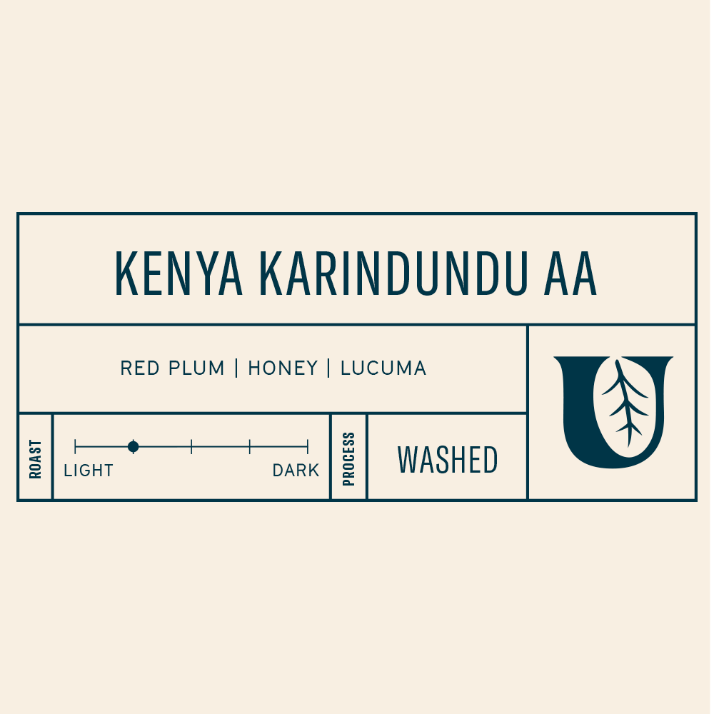 
                  
                    Kenya Karindundu AA
                  
                