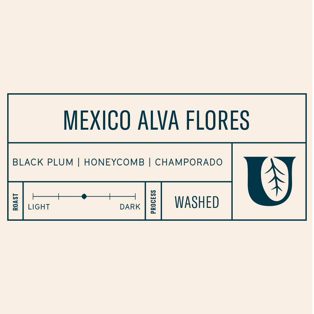 
                  
                    Mexico Alva Flores
                  
                