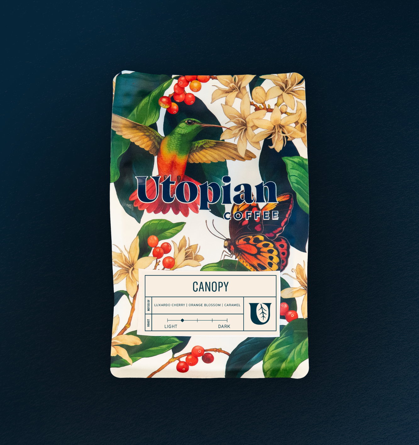 
                  
                    Canopy
                  
                