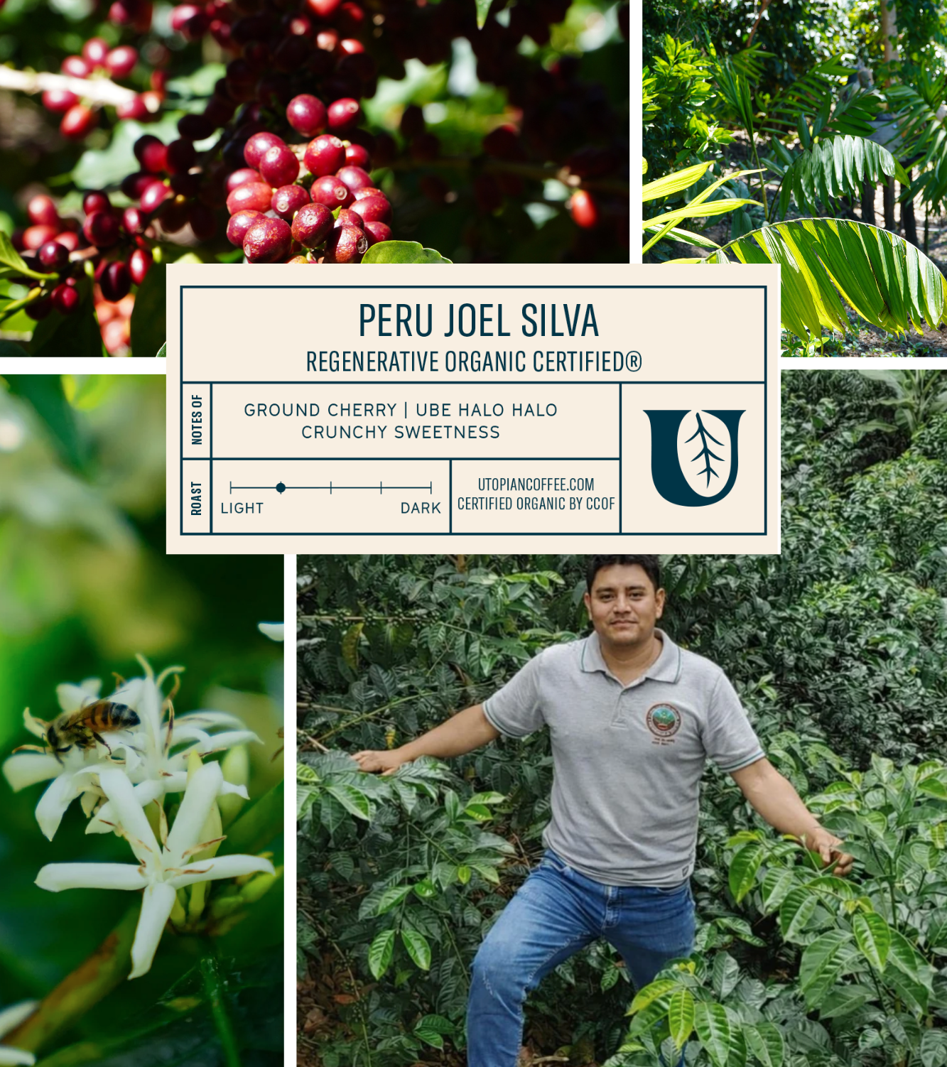 
                  
                    Peru Joel Silva - Regenerative Organic Certified®
                  
                