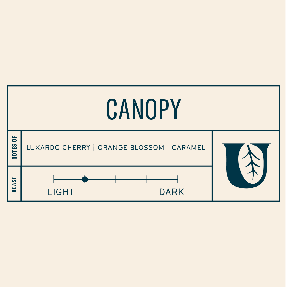 
                  
                    Canopy - Utopian Coffee
                  
                