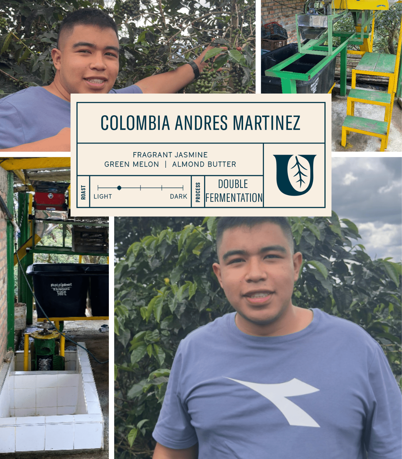 
                  
                    Colombia Andres Martinez - Utopian Coffee
                  
                