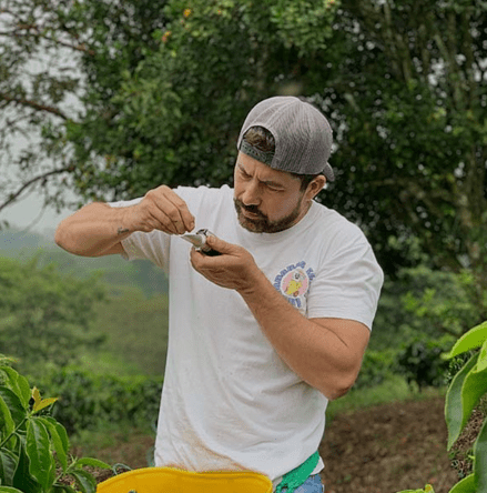 Colombia Edwin Noreña Co-Fermented Twin Pack - Utopian Coffe