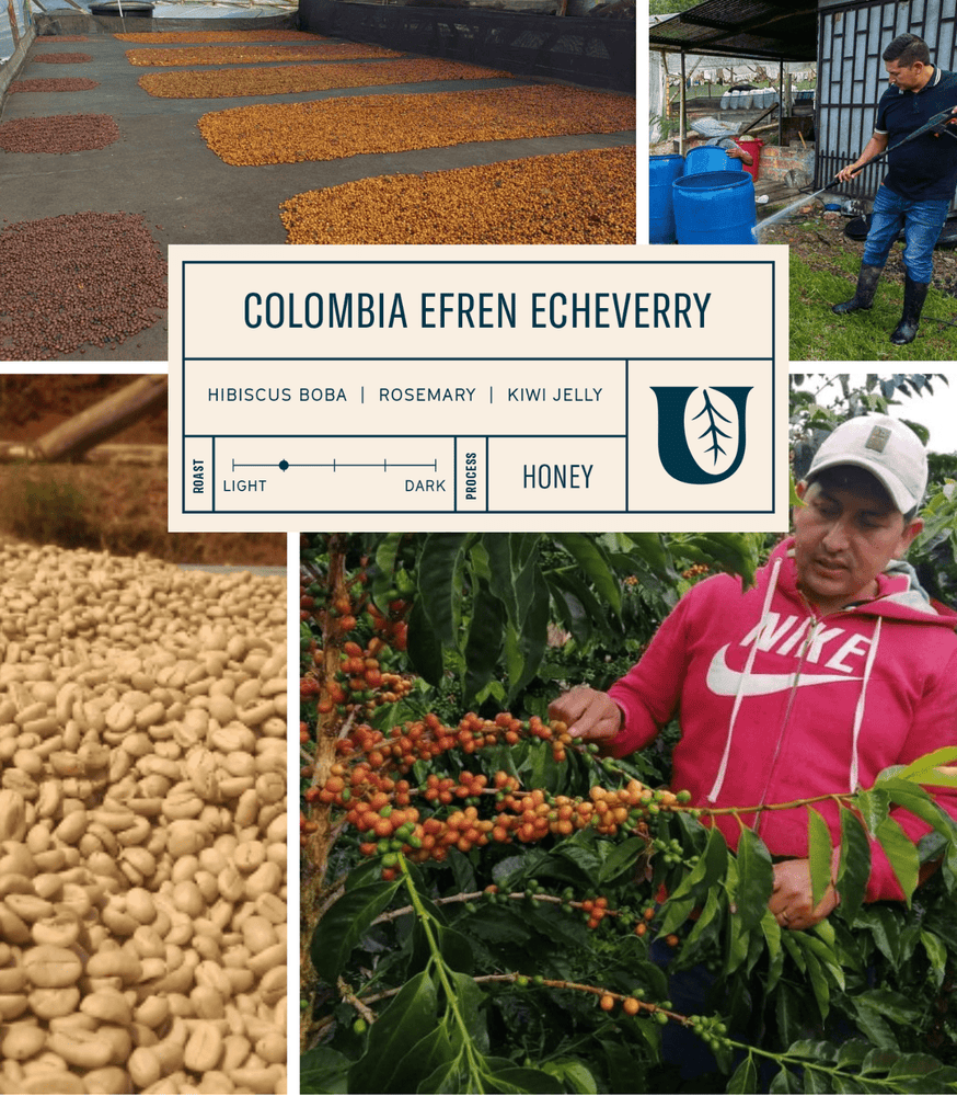 
                  
                    Colombia Efren Echeverry - Utopian Coffee
                  
                