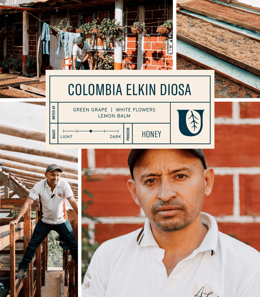 
                  
                    Colombia Elkin Diosa - Utopian Coffee
                  
                
