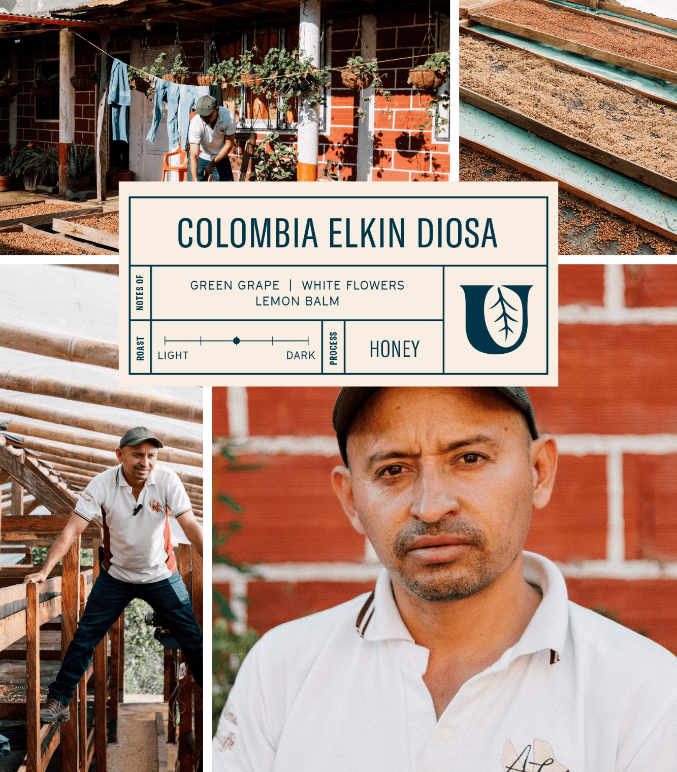 
                  
                    Colombia Elkin Diosa - Utopian Coffee
                  
                