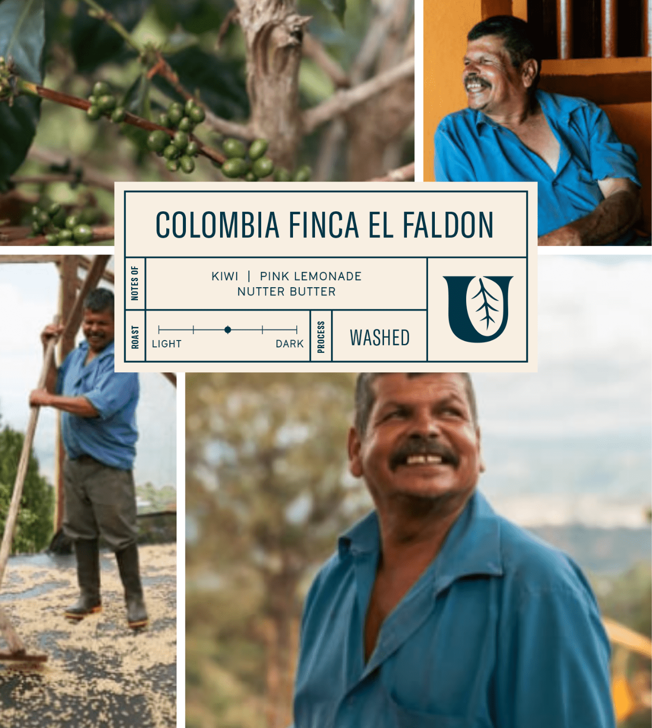 
                  
                    Colombia Finca El Faldon - Utopian Coffee
                  
                