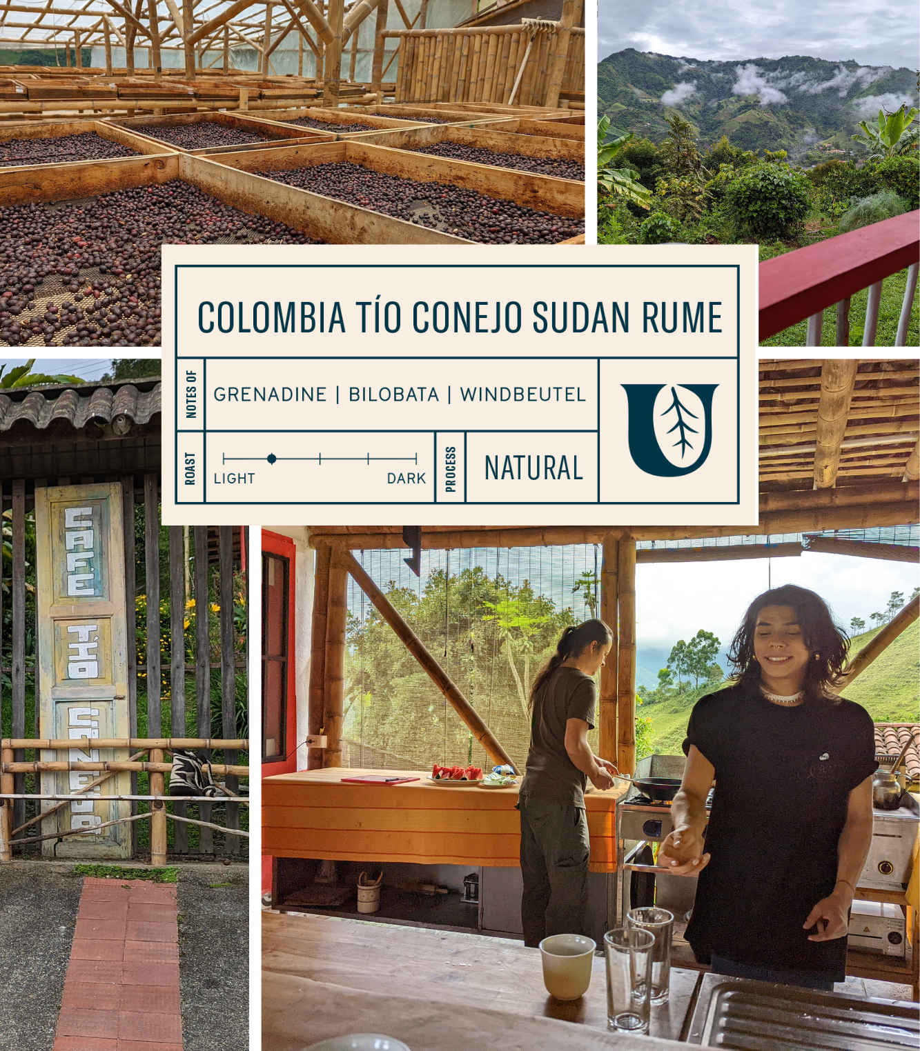 Colombia Tío Conejo Sudan Rume - Utopian Coffee