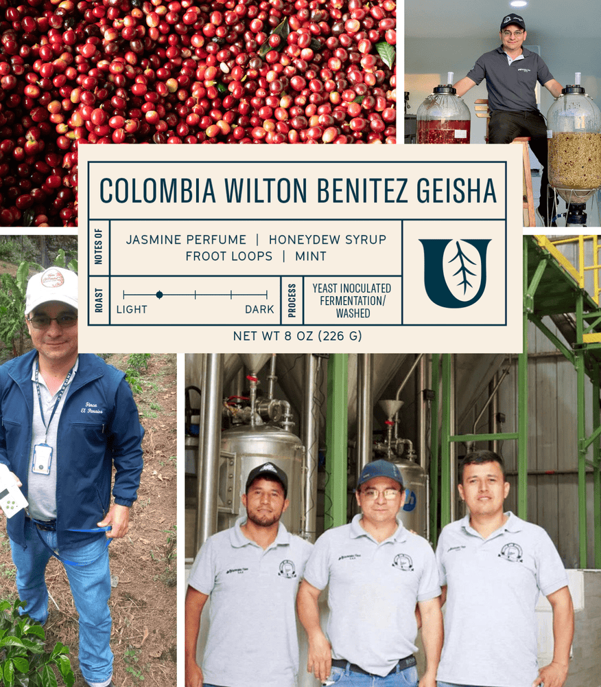 
                  
                    Colombia Wilton Benitez Geisha - Utopian Coffee
                  
                