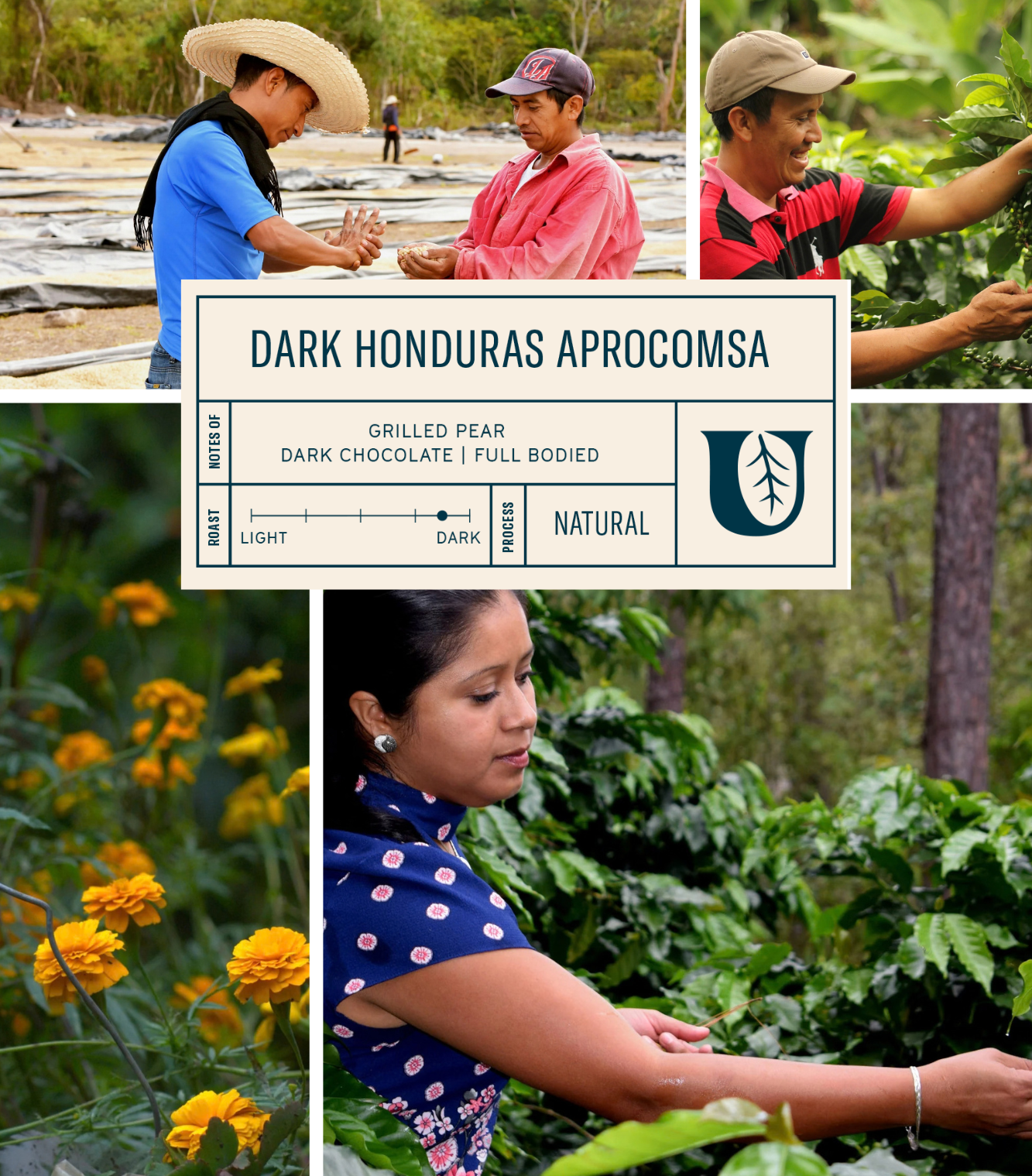 
                  
                    Dark Honduras APROCOMSA - Utopian Coffee
                  
                