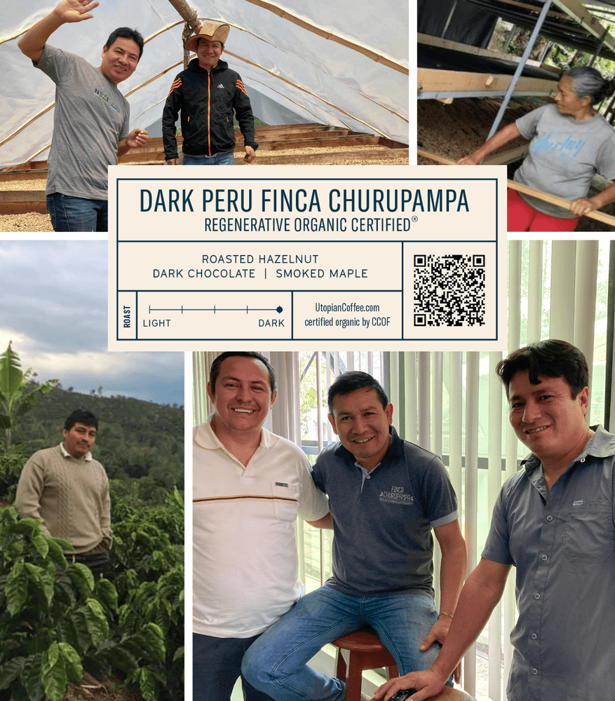 
                  
                    Dark Peru Finca Churupampa - Regenerative Organic Certified® - Utopian Coffee
                  
                