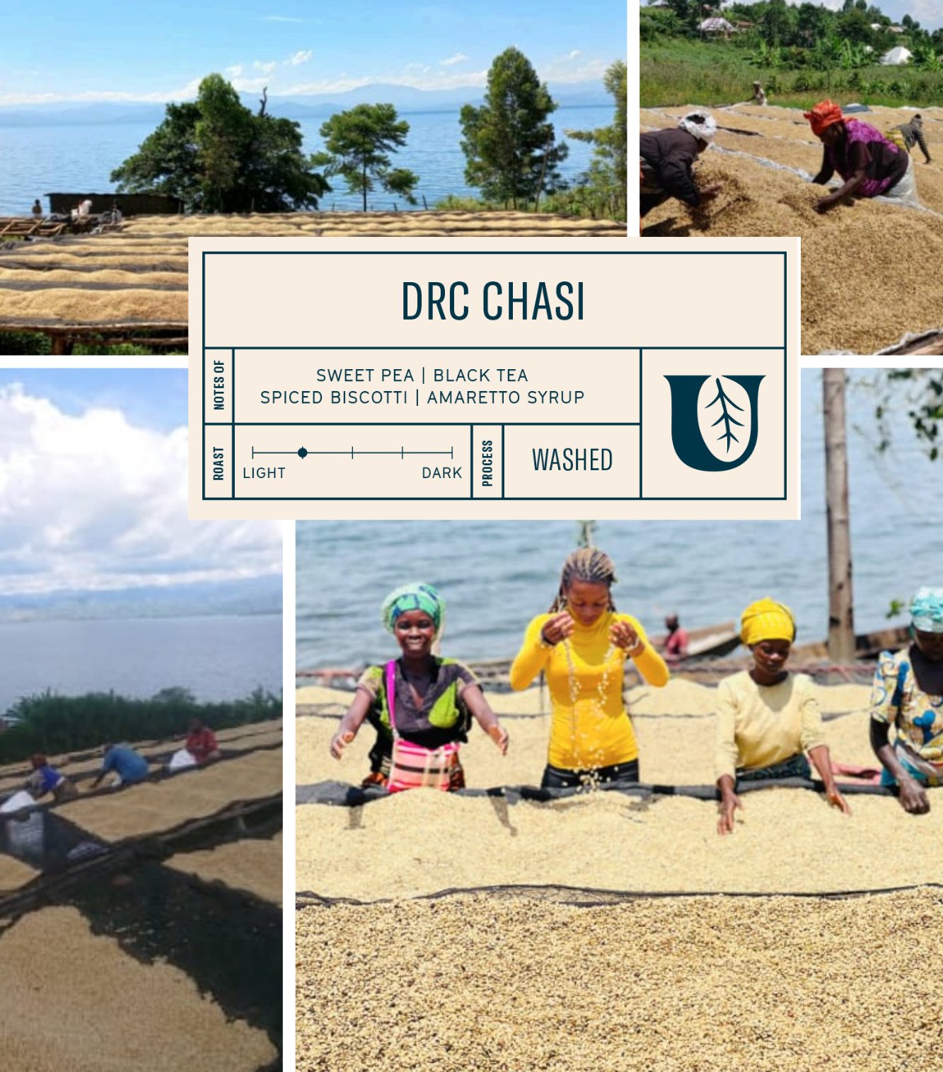 
                  
                    DRC Chasi - Utopian Coffee
                  
                