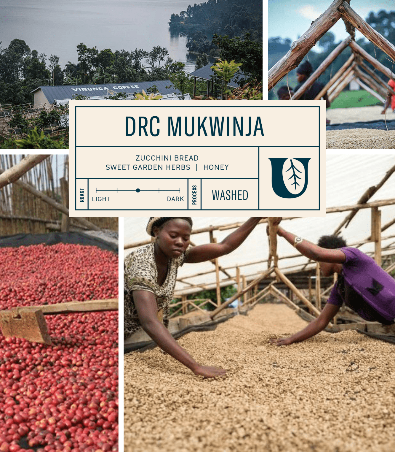 
                  
                    DRC Mukwinja - Utopian Coffee
                  
                