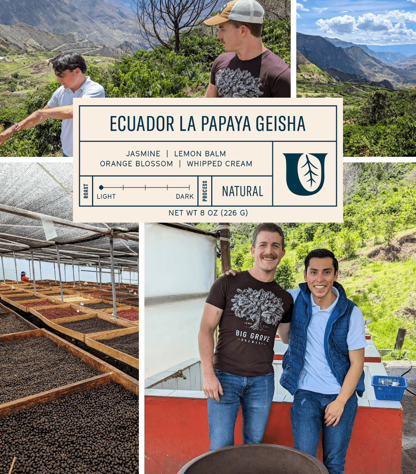 
                  
                    Ecuador La Papaya Geisha - Utopian Coffee
                  
                