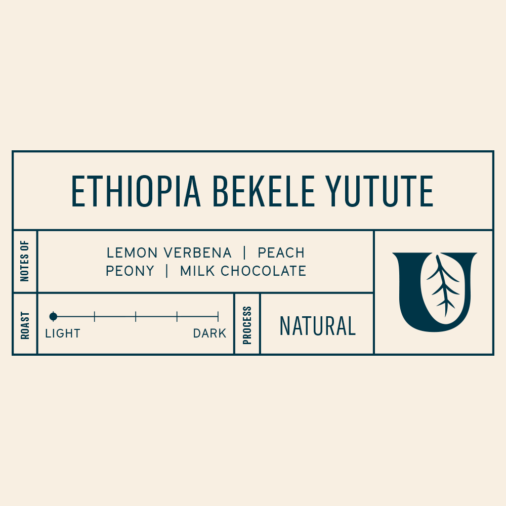 Ethiopia Bekele Yutute - Utopian Coffee