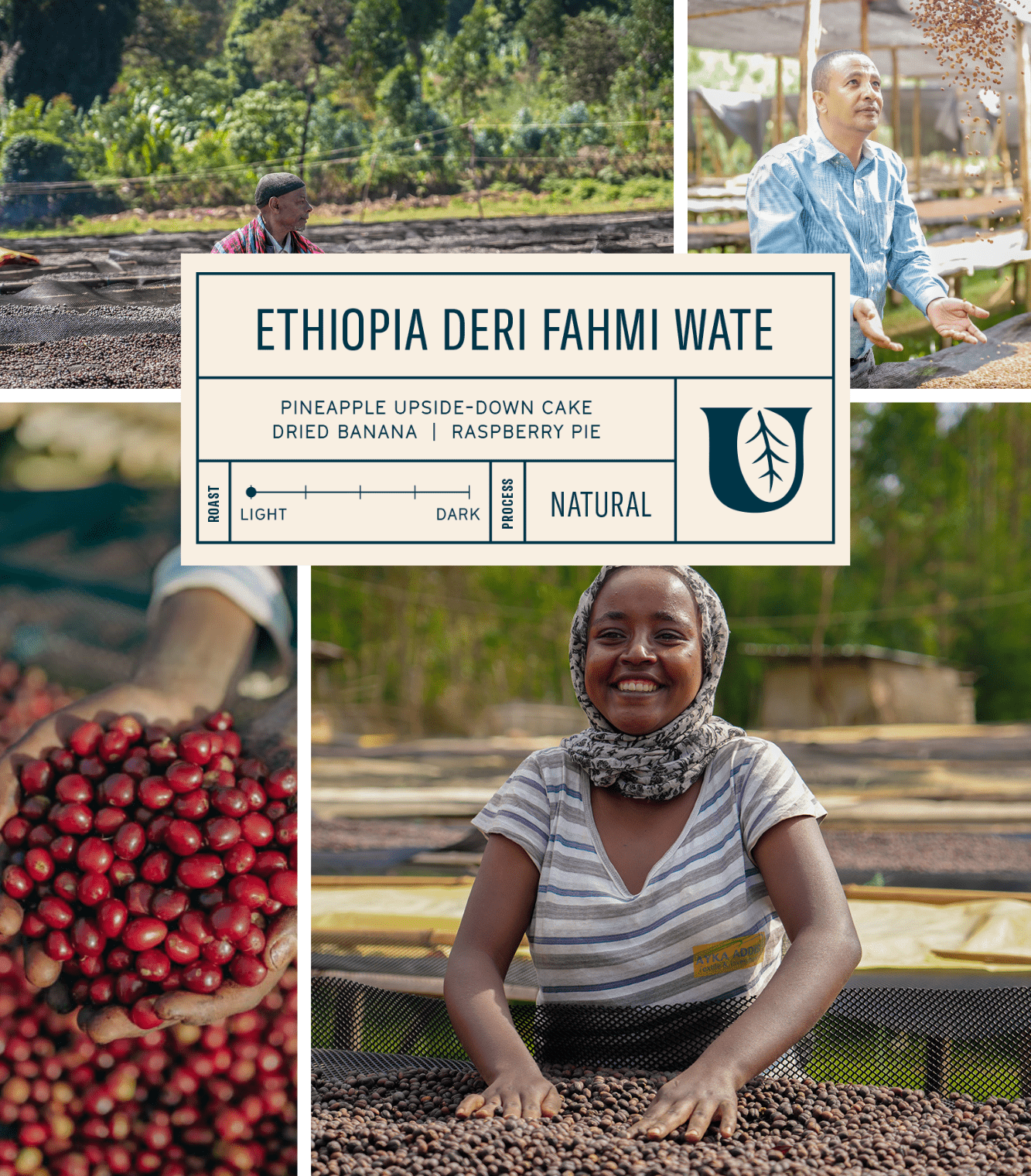 
                  
                    Ethiopia Deri Fahmi Wate - Utopian Coffee
                  
                