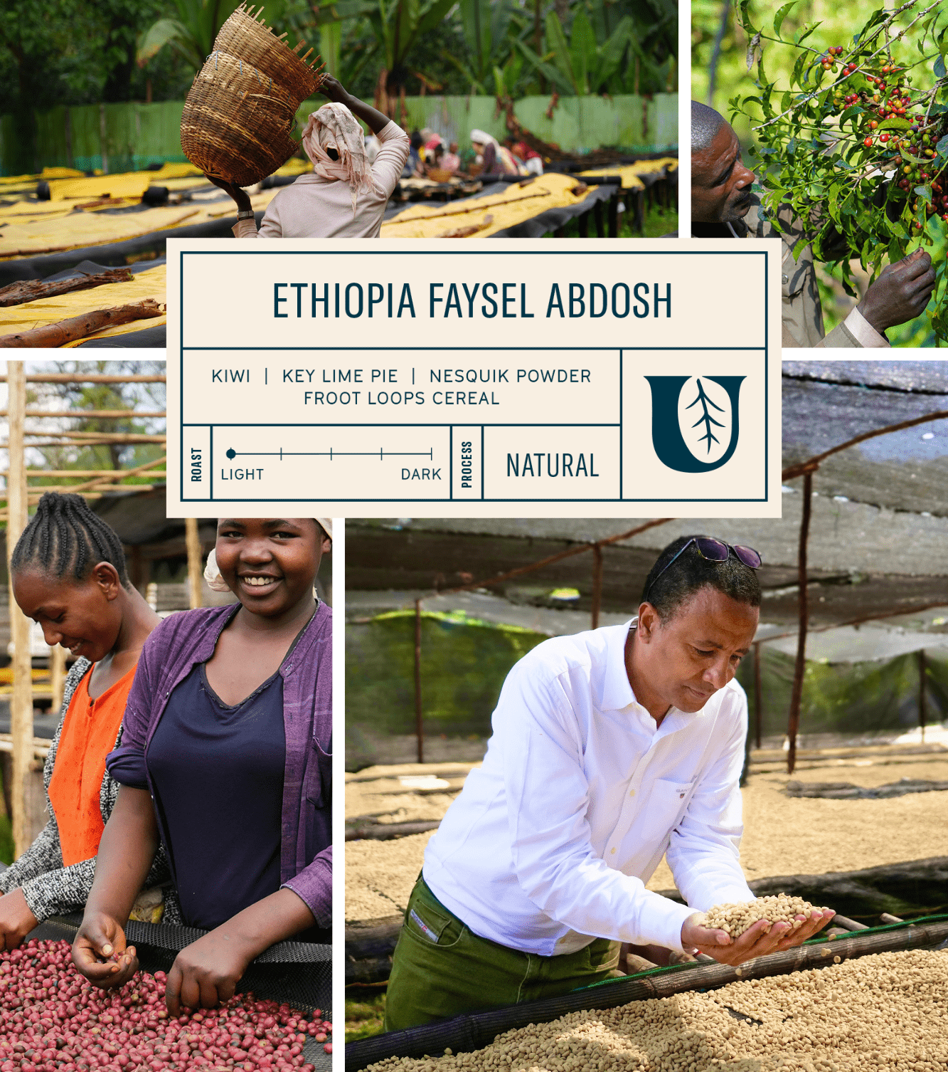 
                  
                    Ethiopia Faysel Abdosh - Utopian Coffee
                  
                