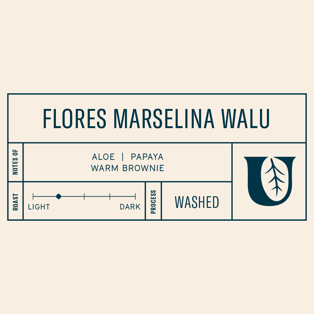 Flores Marselina Walu - Utopian Coffee