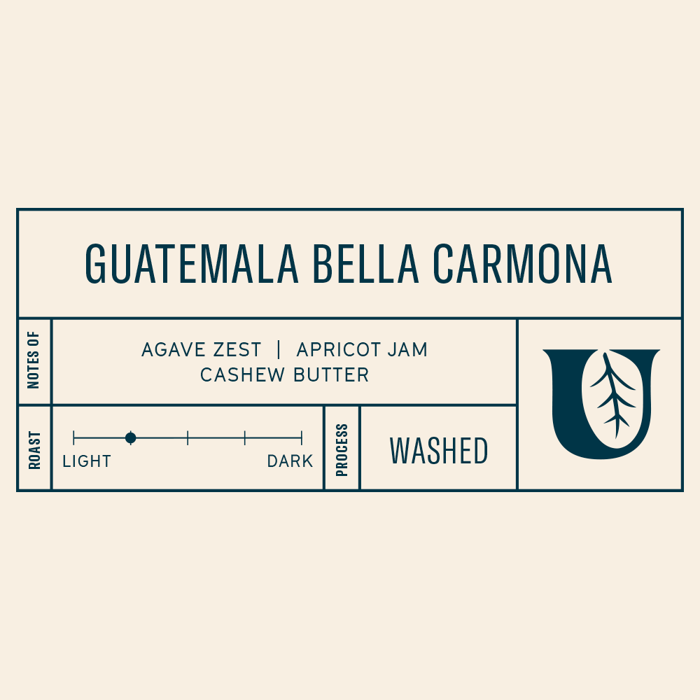 Guatemala Bella Carmona - Utopian Coffee