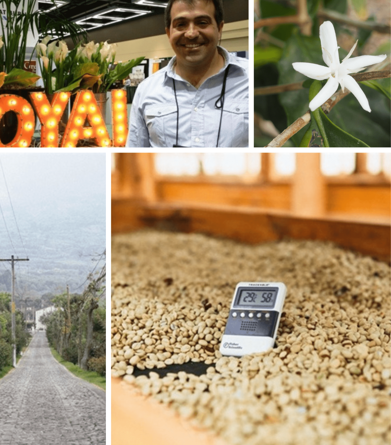 Guatemala Bella Carmona - Utopian Coffee