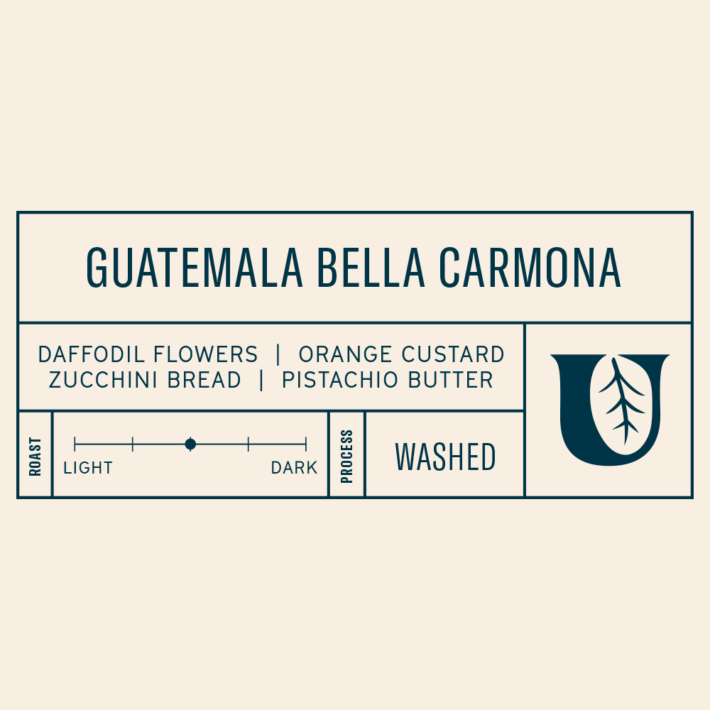 
                  
                    Guatemala Bella Carmona - Utopian Coffee
                  
                