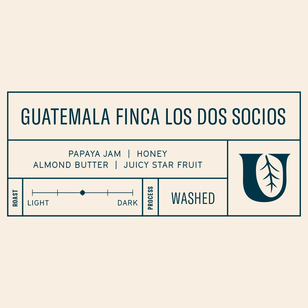 Guatemala Finca Los Dos Socios - Utopian Coffee