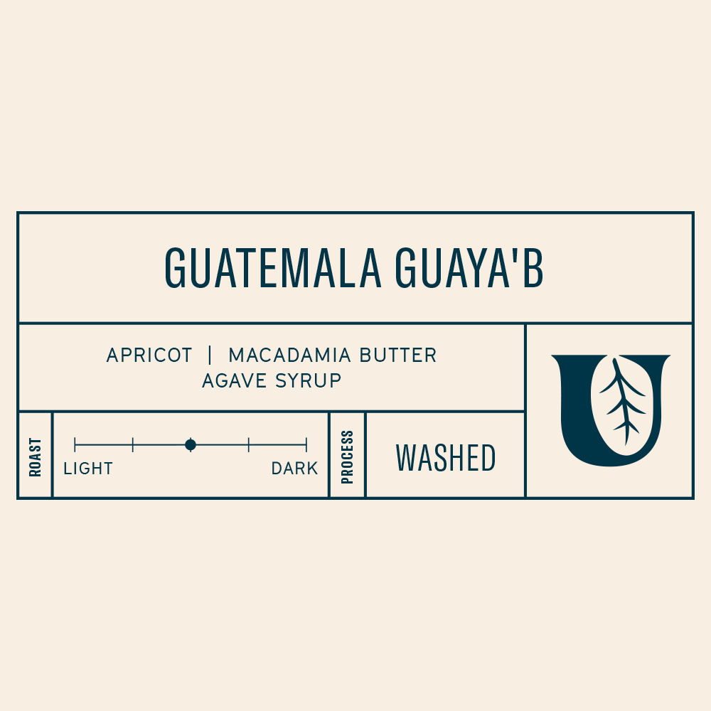
                  
                    Guatemala Guaya'b - Utopian Coffee
                  
                