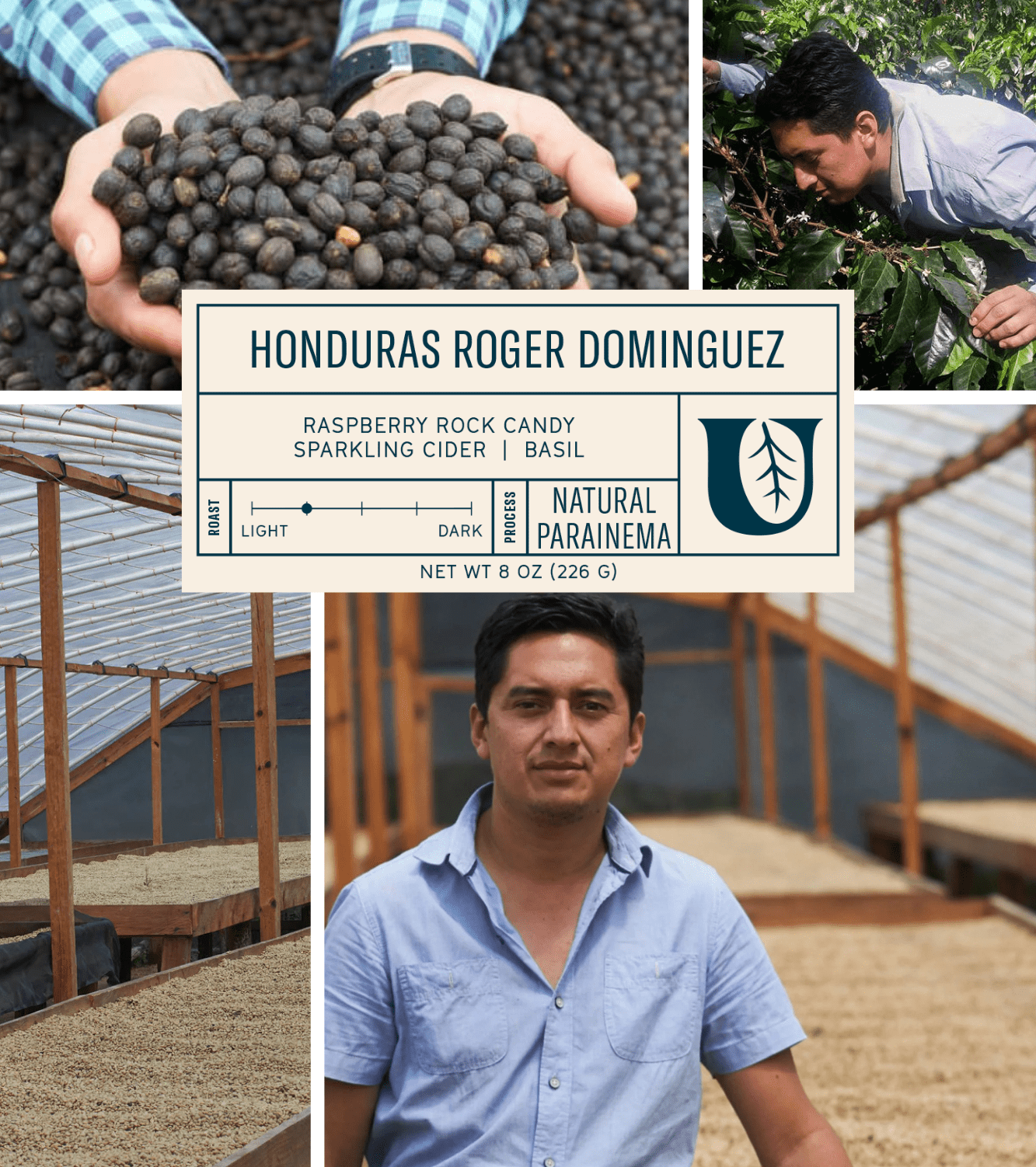 
                  
                    Honduras Roger Dominguez - Utopian Coffee
                  
                