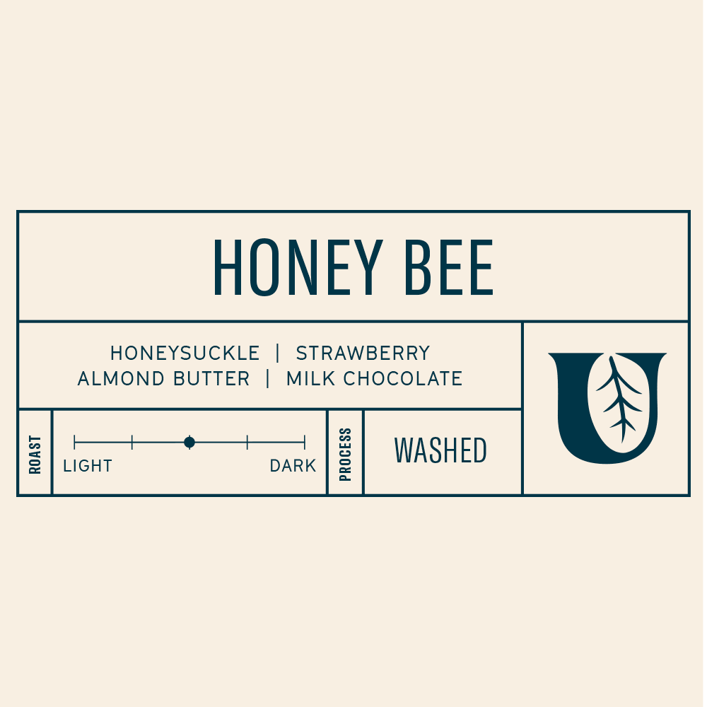 Honey Bee 🐝 - Utopian Coffee