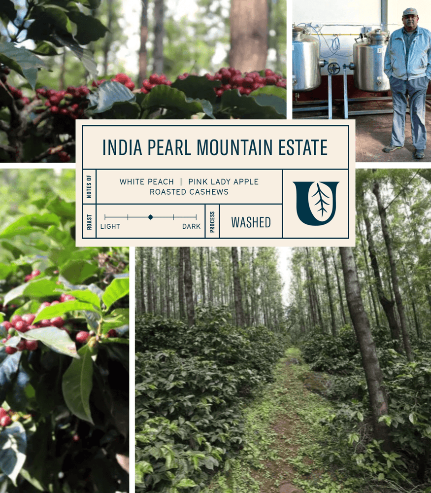 
                  
                    India Pearl Mountain Estate - Utopian Coffee
                  
                