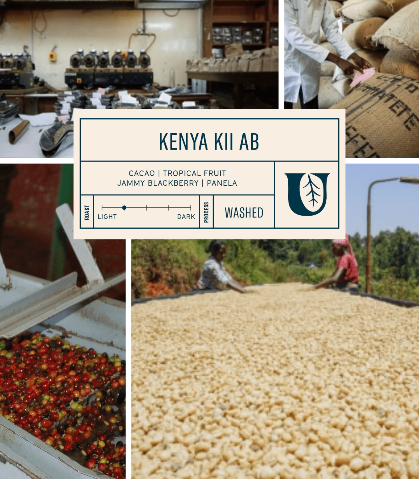 
                  
                    Kenya Kii AB - Utopian Coffee
                  
                