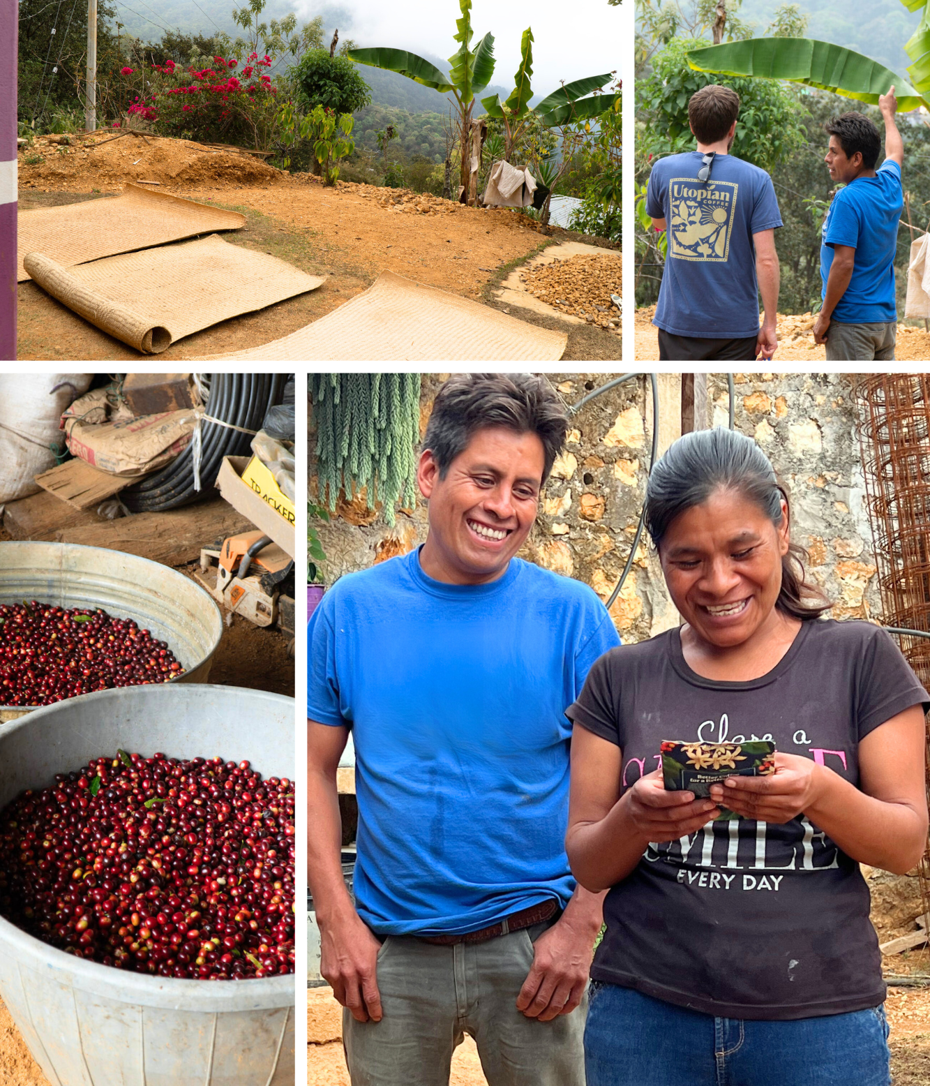 
                  
                    Mexico Alva Flores - Utopian Coffee
                  
                