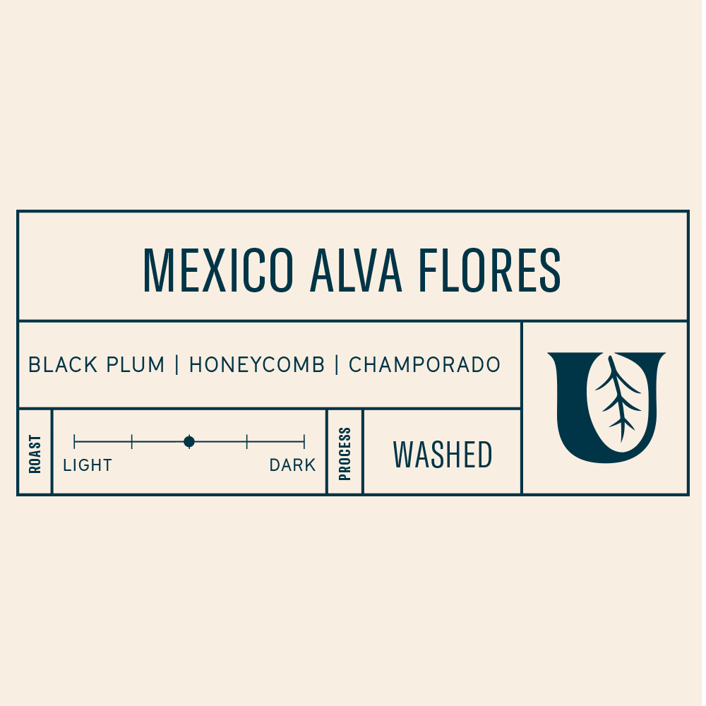 
                  
                    Mexico Alva Flores - Utopian Coffee
                  
                