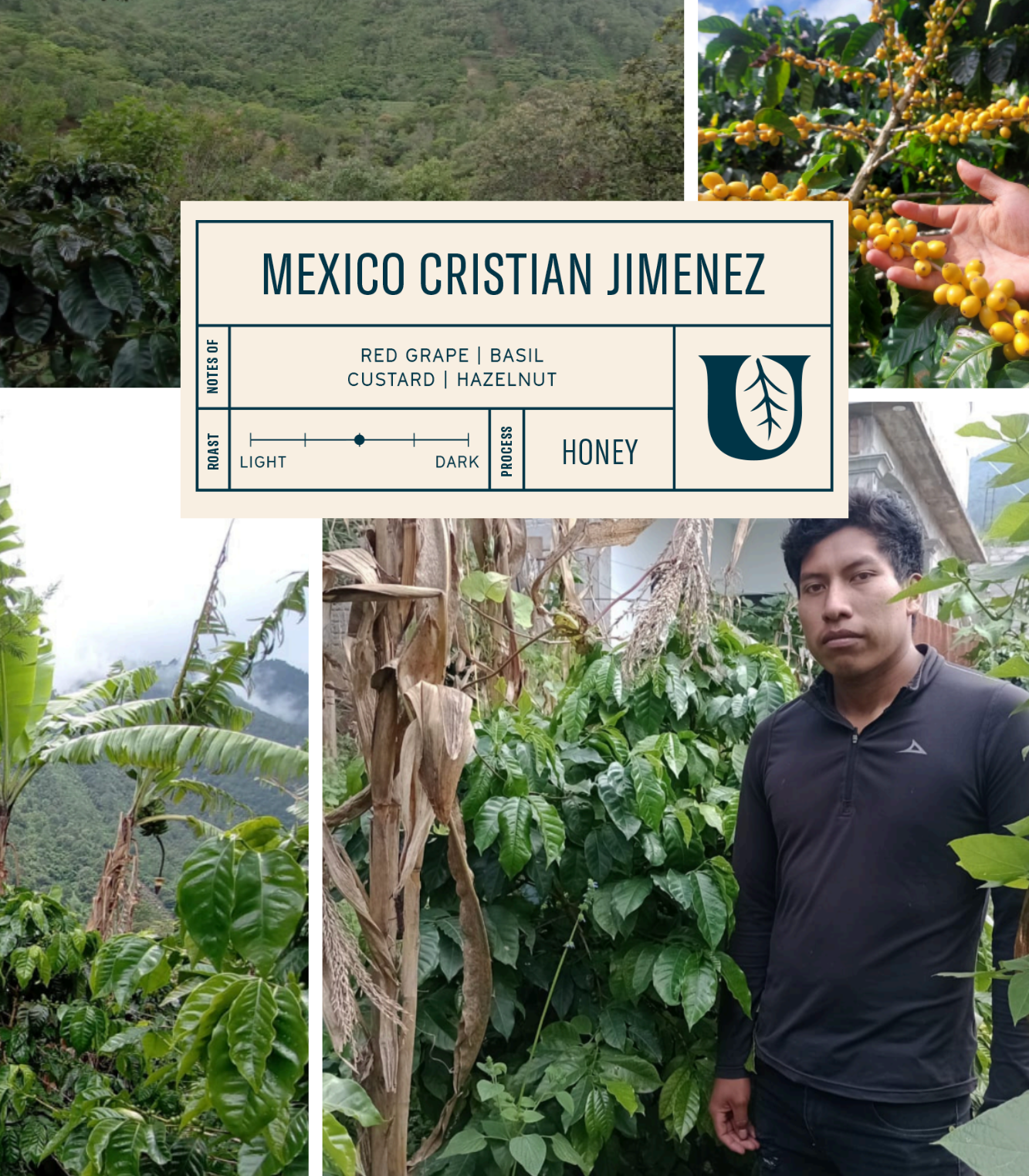 
                  
                    Mexico Cristian Jimenez - Utopian Coffee
                  
                