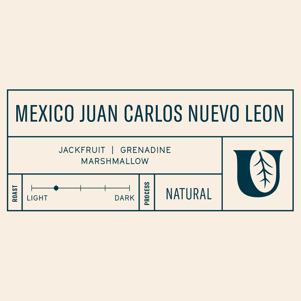 Mexico Juan Carlos Nuevo Leon - Utopian Coffee