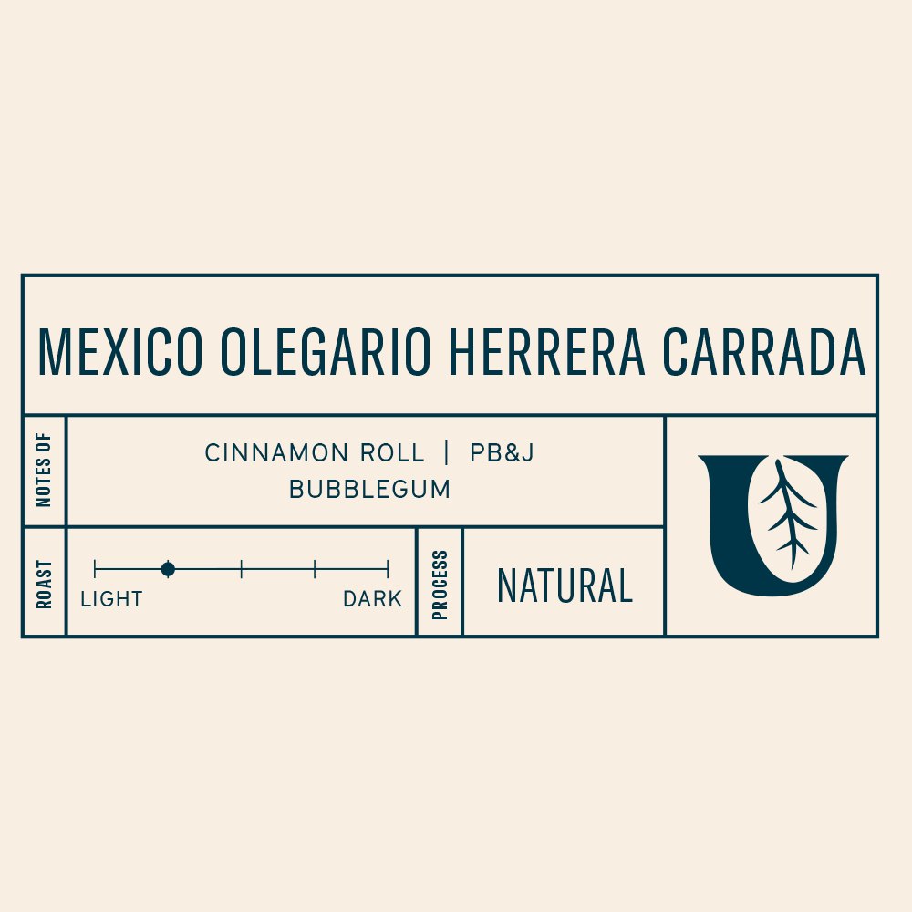 Mexico Olegario Herrera Carrada - Utopian Coffee