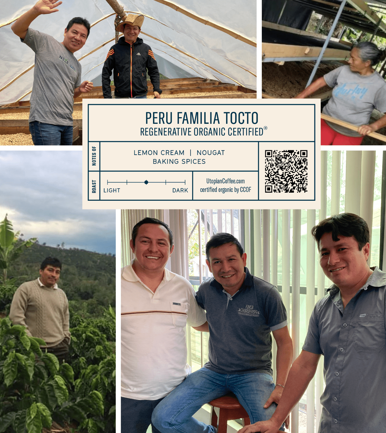 
                  
                    Peru Familia Tocto - Regenerative Organic Certified® - Utopian Coffee
                  
                