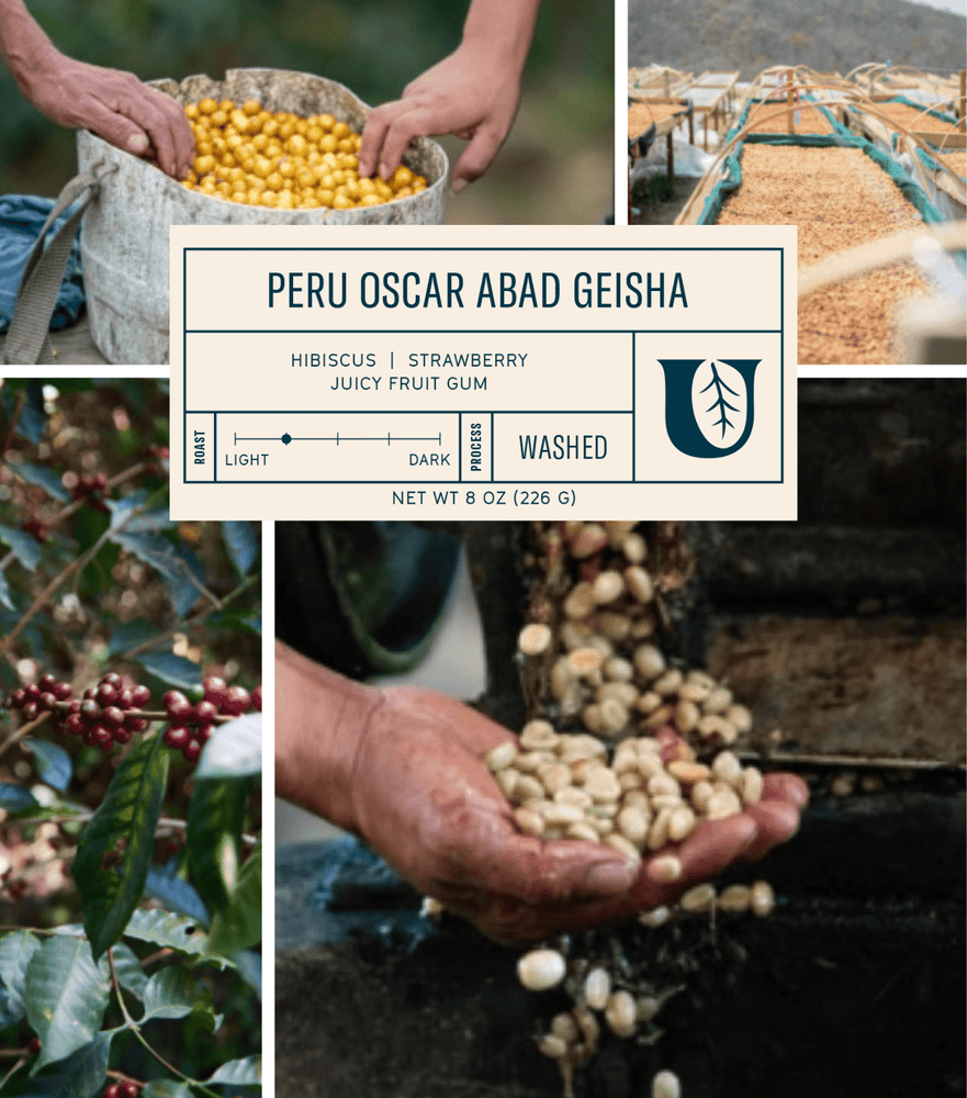 
                  
                    Peru Oscar Abad Geisha - Utopian Coffee
                  
                