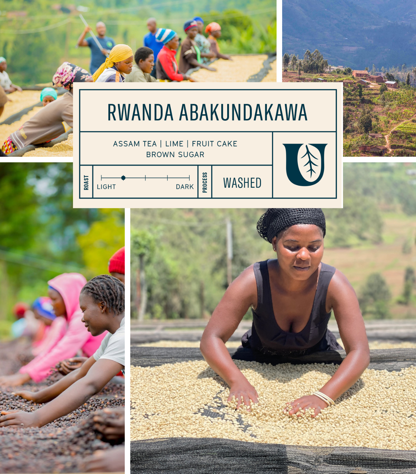 
                  
                    Rwanda Abakundakawa - Utopian Coffee
                  
                