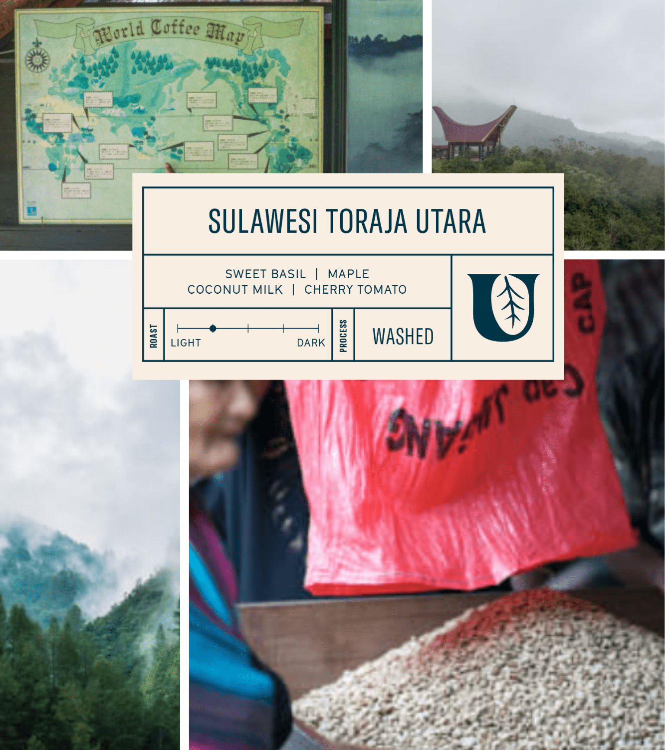 
                  
                    Sulawesi Toraja Utara - Utopian Coffee
                  
                