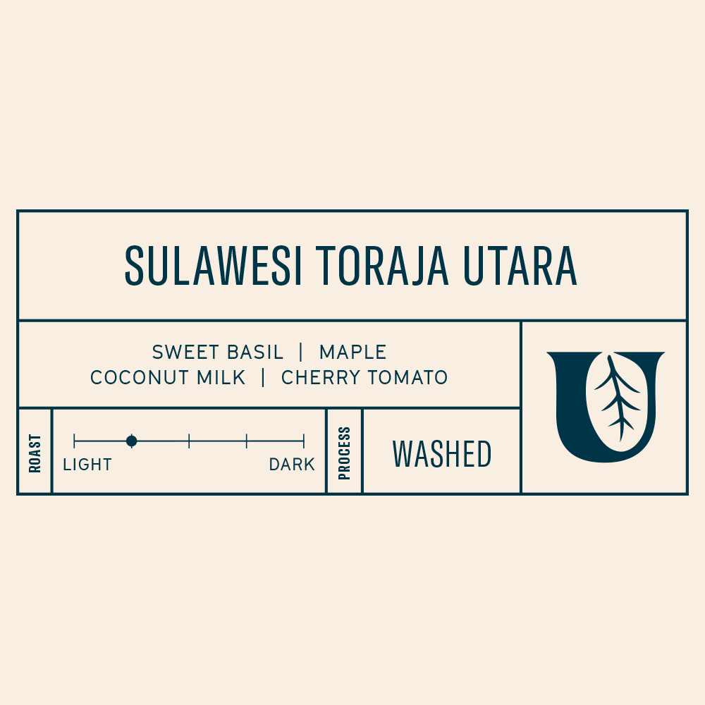 
                  
                    Sulawesi Toraja Utara - Utopian Coffee
                  
                
