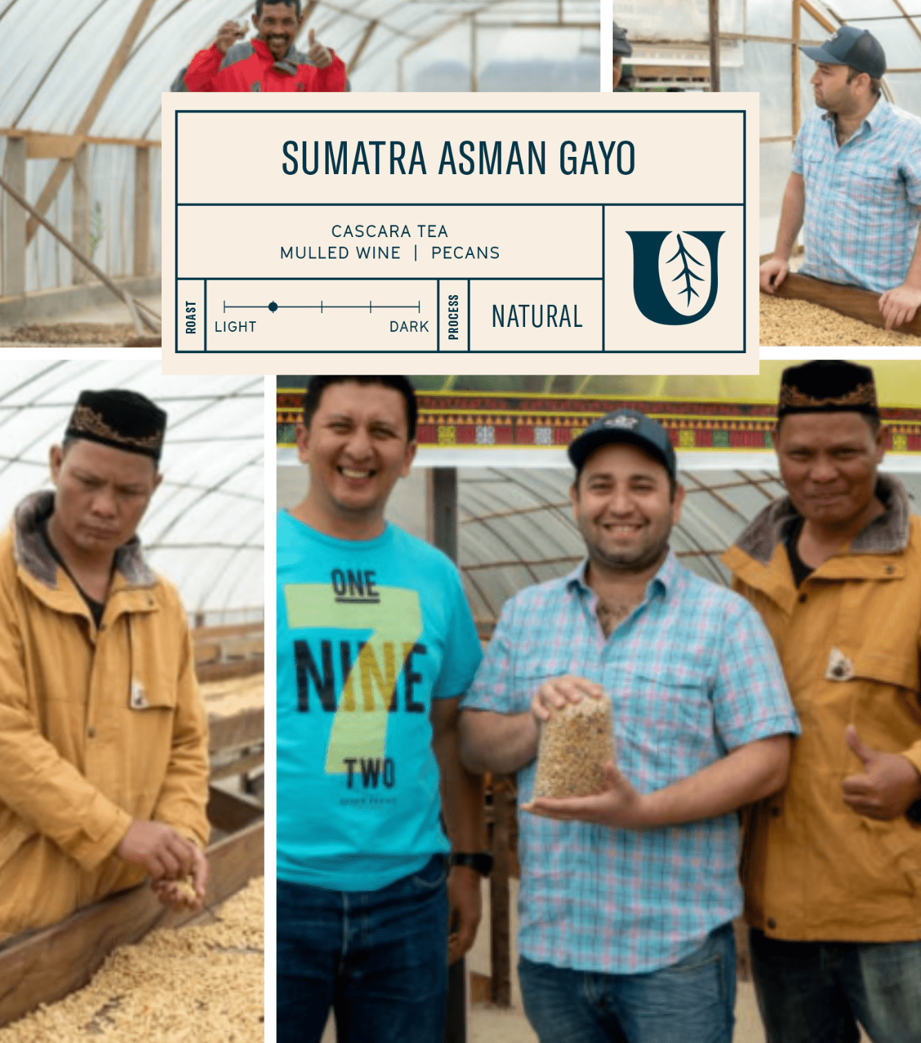 
                  
                    Sumatra Asman Gayo - Utopian Coffee
                  
                